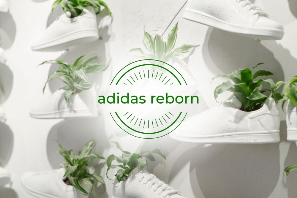 Adidas Reborn